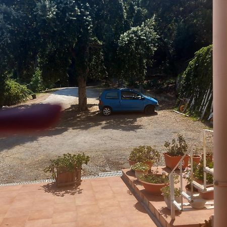 Alba Tra I Pini B&B Cefalù Kültér fotó