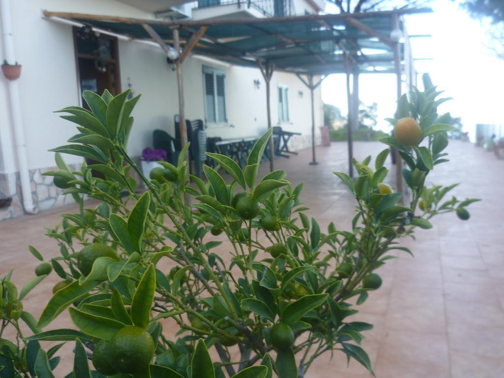 Alba Tra I Pini B&B Cefalù Kültér fotó